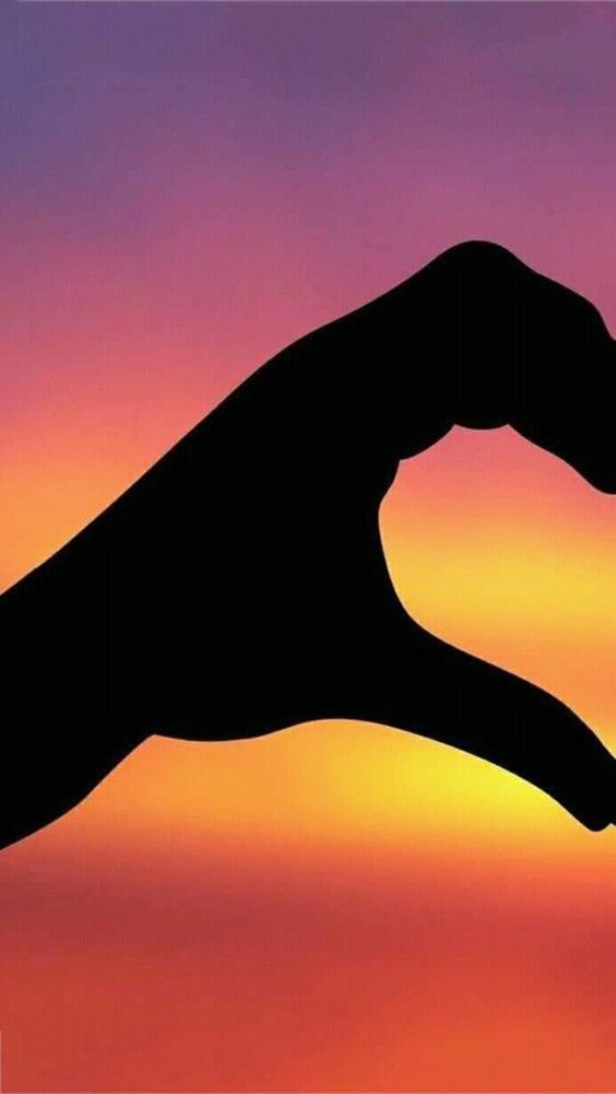 34A fondos de pantalla para compartir con tu mejor amiga