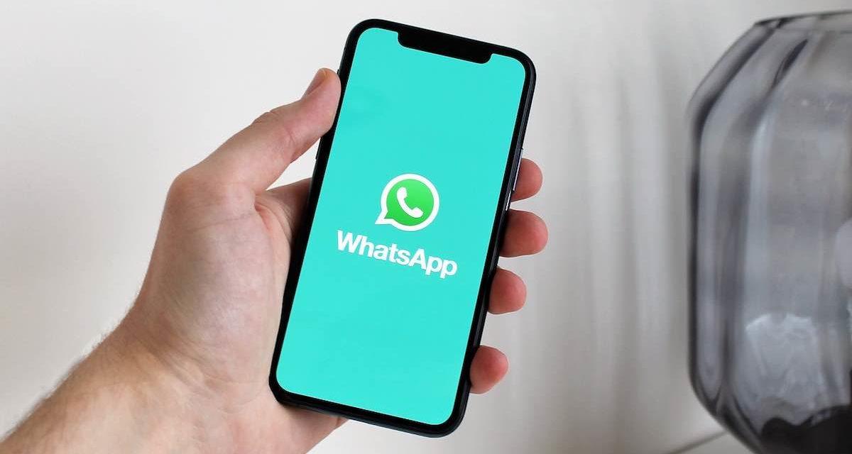 613906441 y 604297236, ¿estafa? «Dicen que les agregue a WhatsApp»