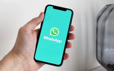 613906441 y 604297236, ¿estafa? «Dicen que les agregue a WhatsApp»