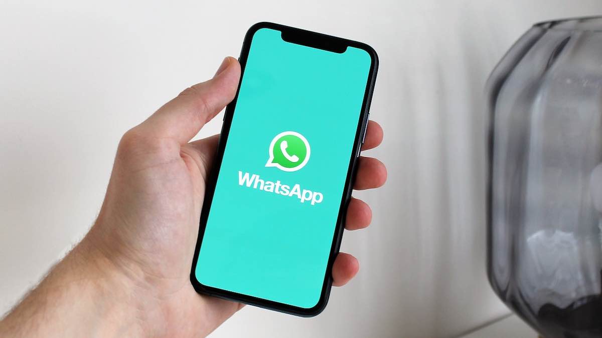613906441 604297236 whatsapp