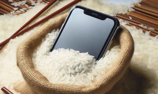 ¿Cuánto tiempo debo dejar el teléfono en arroz si se ha mojado?