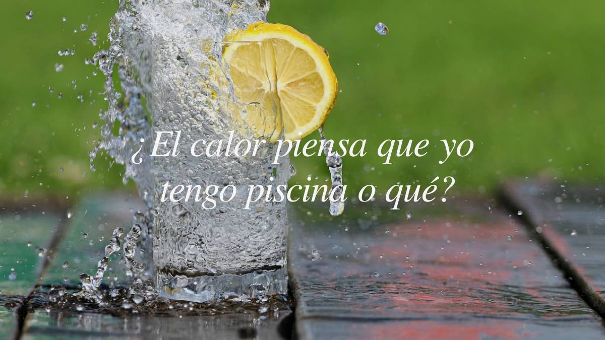 frases-ola-calor-2024