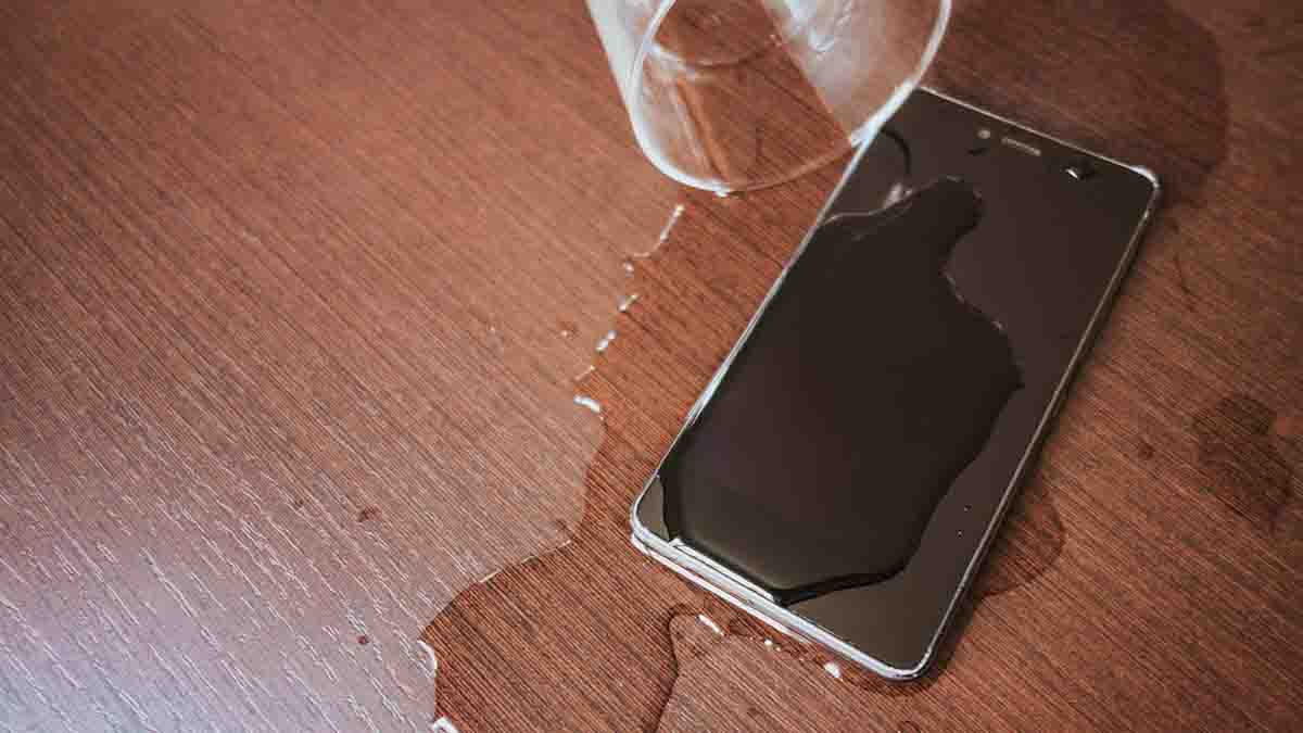movil mojado
