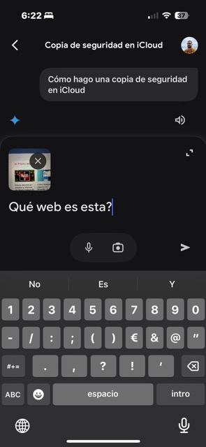 Cómo sacar partido a la app de Gemini en un iPhone 3