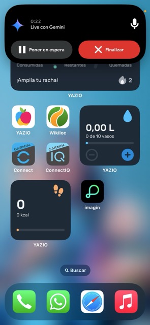 Cómo sacar partido a la app de Gemini en un iPhone 4