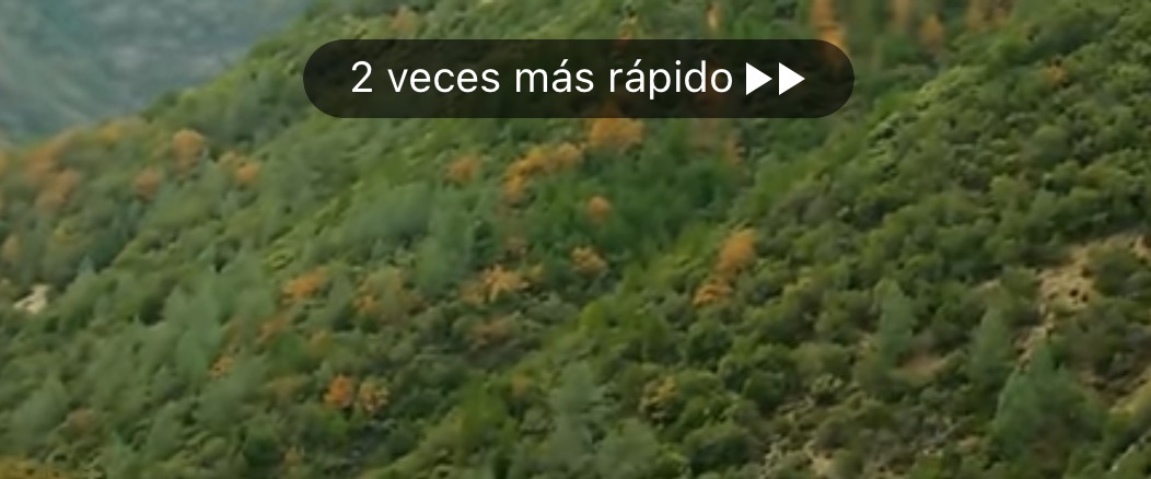 gestos youtube
